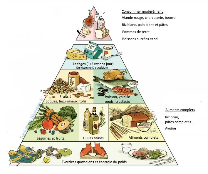 Pyramide alimentaire de Harvard pour une meilleure santé